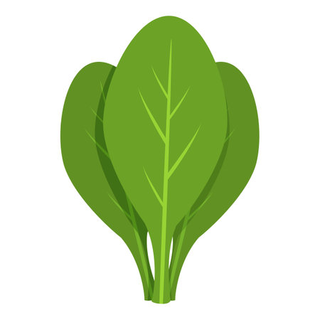 Green spinach leaves growing together, perfect for healthy food and lifestyle themesのイラスト素材