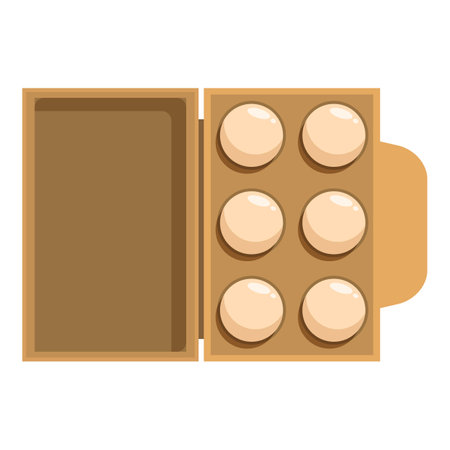 Half a dozen eggs are sitting in an open cardboard egg boxのイラスト素材