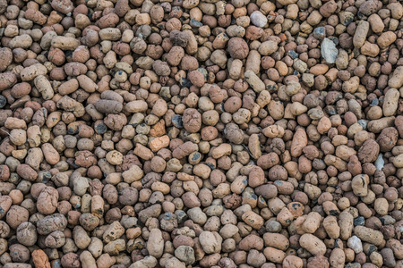Expanded clay aggregate.の写真素材