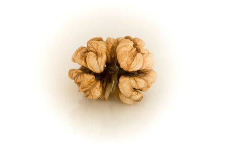 Walnut. Whole bright core of shelled walnuts.