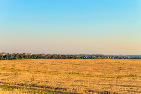 Flat landscape with a rye field and suburban houses on the horizon. Rural landscape. Belgorod region, Russia.の写真素材