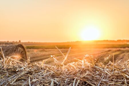 Straw bale close-up in light of the low evening sun backlight on horizon. Dry hay background on the sunset.の写真素材