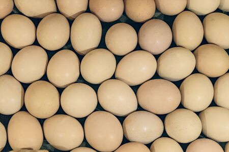 Fresh chicken eggs in a set on the surface. Farm food products background.