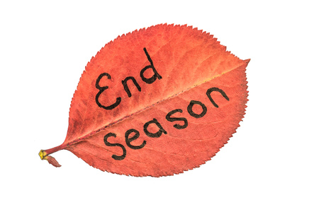 Big red autumn leaf with the inscription END SEASON, isolated on awhite backgroundの写真素材