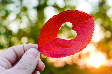 Hand holding autumn leaf with heart-shaped hole. Summer goodbye concept.