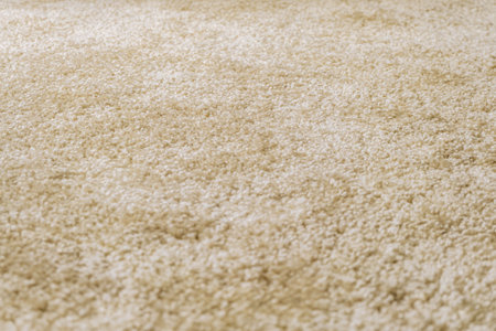 Surface of beige frieze carpet with selective focus and limited depth of field. Artificial wool...
