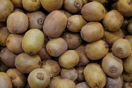 Brown fluffy hairy kiwi fruits stacked in pileの写真素材