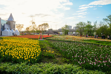 Belgorod, Russia - April 29, 2022: Spring square with tulips on Bohdan Khmelnitsky Avenue. Evening embankment of the river Vezelka near the children's entertainment center Masterslavl.のeditorial素材
