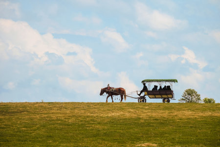 Harnessed horse rides people in a pleasure cart on horizon. Silhouettes of people in the shadow of a covered wagon. side view.の写真素材