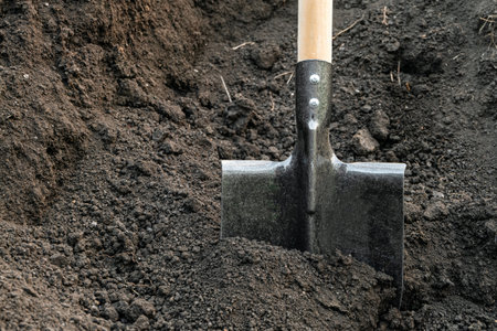 Bayonet shovel stuck in the groundの写真素材