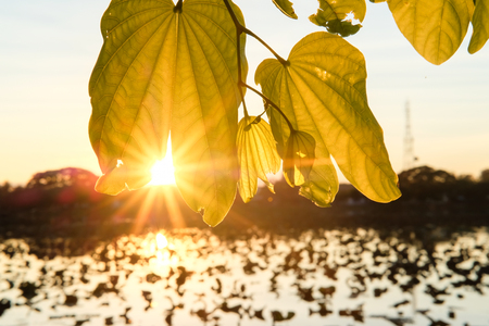 sunrise afternoonの写真素材