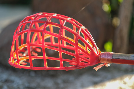 basket for mangoesの写真素材