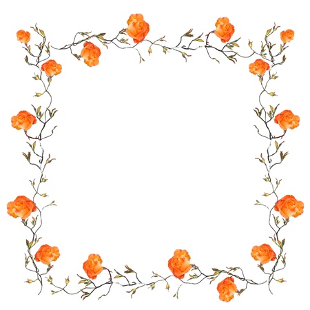 Orange floral border with white copy spaceの写真素材