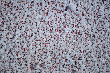 Concrete Texture with Red Specs Seamless Backgroundの写真素材
