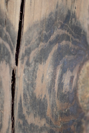 Light Brown Woodgrain Texture Seamless Backgroundの写真素材