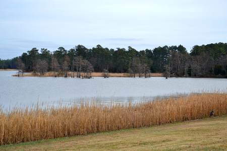 Beautiful Fall Lake Backgroundの写真素材