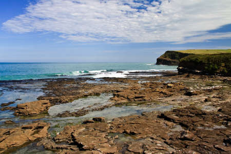 Curio Bay in New Zealandの写真素材