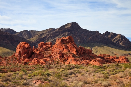 Typical rock formations in the Valley of Fire, Nevada の写真素材