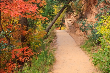 Path through Refrigerator Canyon towards Angels Landing in Zion Canyon National Park, Utah.の写真素材