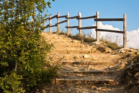Steps on a forest path in Bulgaria.の写真素材