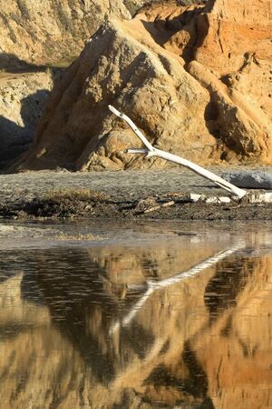 Reflection in a pond at McClure Beach in Pont Reyes National Seashore, California の写真素材