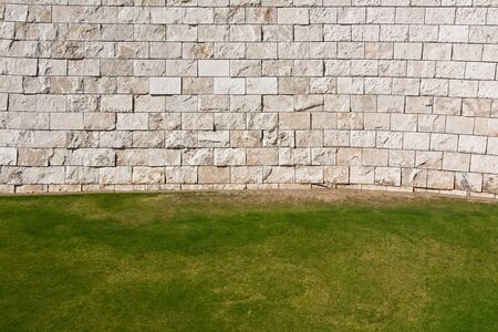 Background of grass and wall.