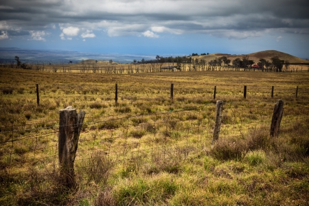 Rustic landscape on the Big Island of Hawaii.の写真素材