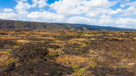 Panorama of frozen lava in Volcanoes National Park in Hawaii, Big Island.の写真素材