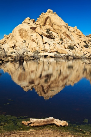 Barker Dam landscape in Joshua Tree National Park, California.の写真素材