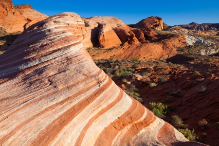 The Wave in Valley of Fire State Park, Nevada.の写真素材