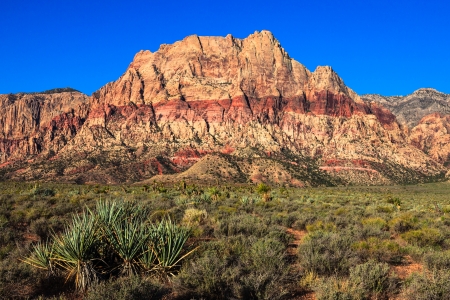 Striated cliffs at Red Rock National Conservation Area, Nevada.の写真素材