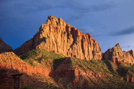 Late afternoon light on the Watchman in Zion Canyon National Park, Utahの写真素材