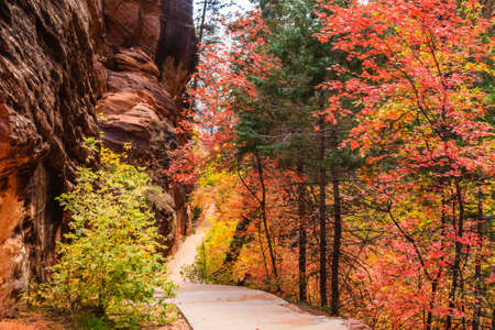Path through Refrigerator Canyon towards Angels Landing in Zion Canyon National Park, Utah.の写真素材