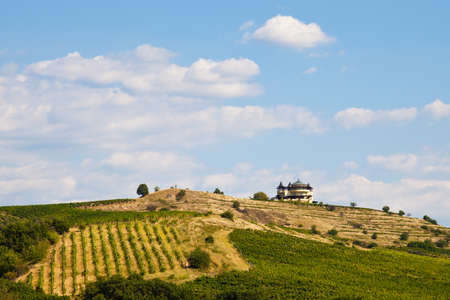Winery and vineyards in the Pirin mountains near Melnik, Bulgaria.の写真素材