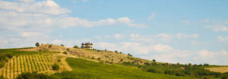 Panorama or winery and vineyards near Melnik, Bulgaria.の写真素材