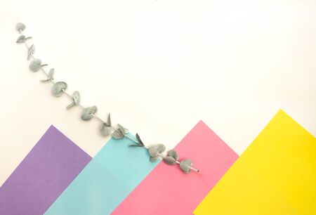 Horizontal photo. Sheets of paper are arranged one after another on a white background. Pastel light colors, yellow, pink blue and lilac. Design business concept Empty copy text for Web banners. Lay up. Mock up. A branch of eucalyptus painted white lies on paper. Minimalistic postcard.の写真素材