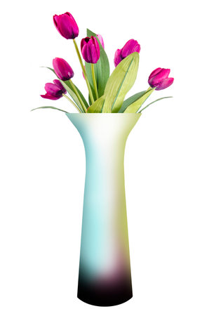 Tulipsの写真素材