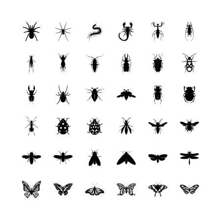 Collection of black insects isolated on a white background. Vector elements for your design.のイラスト素材