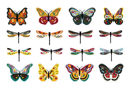 Collection of colorful butterflies and dragonflies with floral ornaments.のイラスト素材