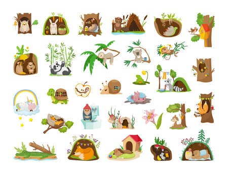 Cartoon animals in their houses. Colorful cute characters.のイラスト素材