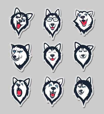 Set of siberian husky stickers. Dog in different emotions. Illustrations for prints, logos, websites, and apps.のイラスト素材