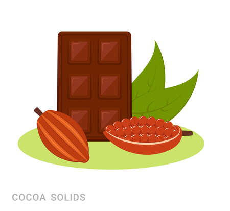 Vector illustration of cocoa solids, bean and chocolate. Food additive on a white background.のイラスト素材