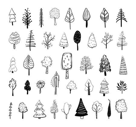 Collection of black and white doodles trees of different types. Hand-drawn style icons.のイラスト素材