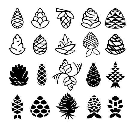 Collection of monochrome cones of conifers. Linear and filled icons.のイラスト素材