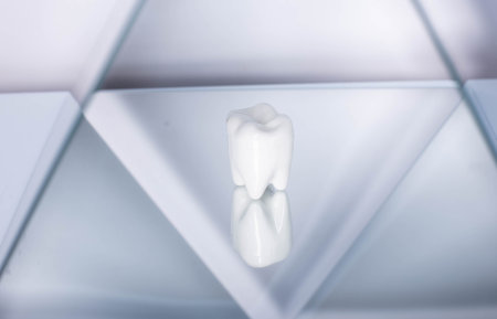 Dental concept healthy equipment tools dental care professional bannerの写真素材