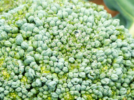 vegetable green broccoli macro background with dewdropsの写真素材