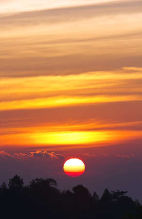 Dramatic sun setting above a Forestの写真素材