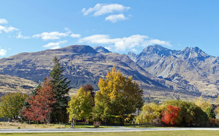 Colorful of autumn trees with high mountainの写真素材