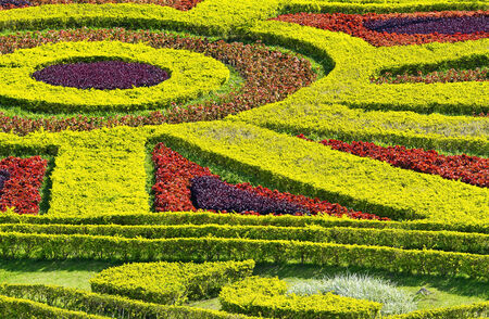 Colorful flowers garden in the parkの写真素材