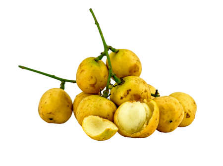 Group of Baccaurea ramiflora fruits isolated on white の写真素材
